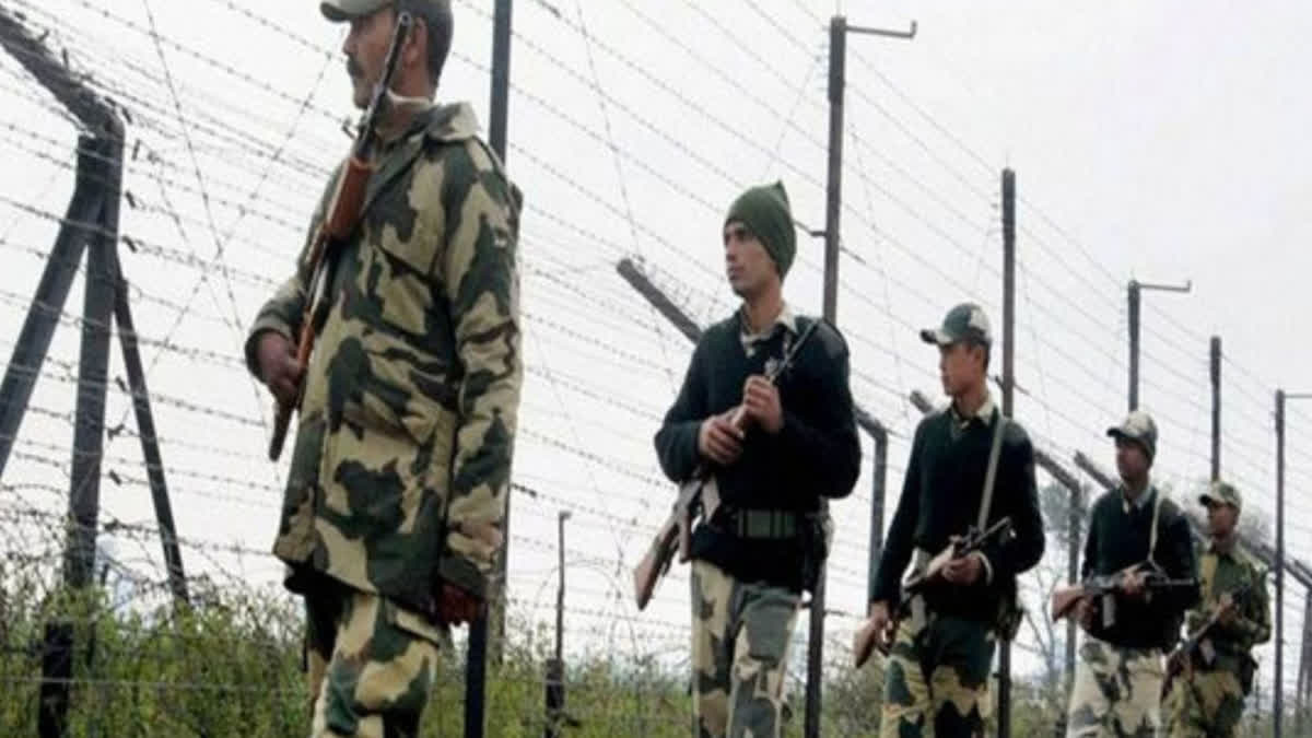 J and K: Pakistani intruder shot dead along IB in Arnia sector