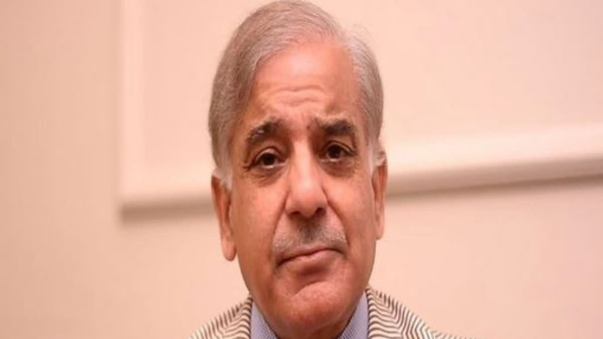 PM Shehbaz Sharif prefers neutral person as Pakistan interim PM