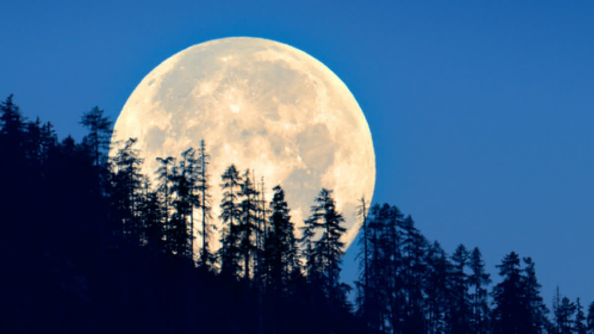 Blue and Super Moon can be seen in the August