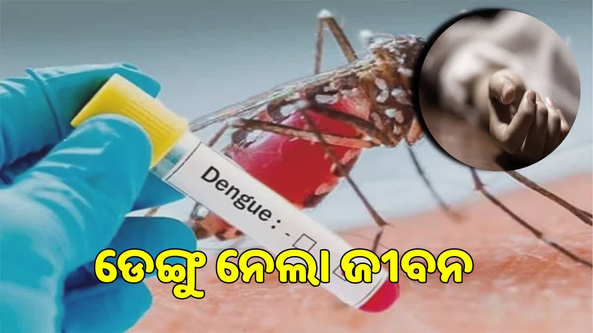 Woman dies of dengue