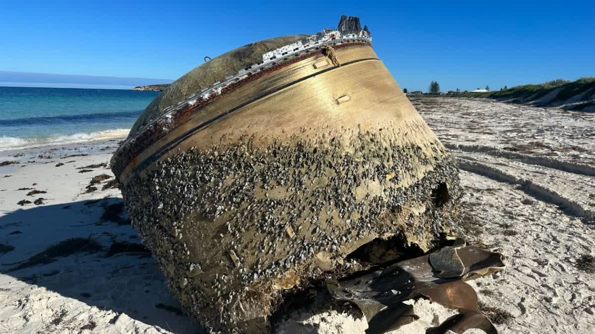 Mysterious object on beach