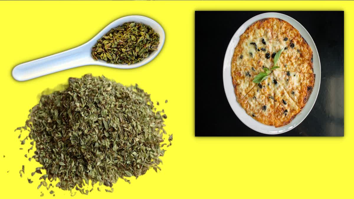 Oregano Benefits For Health News