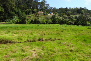 paddy farmers crisis in idukki  paddy farmers crisis  paddy farmers  idukki paddy fields  നെൽകർഷകർ  നെൽകൃഷി  ഇടുക്കിയിലെ നെൽകൃഷി  നെൽകർഷകർ ഇടുക്കി  ഇടുക്കി നെൽകർഷകർ പ്രതിസന്ധിയിൽ  നെൽകൃഷി പ്രതിസന്ധിയിൽ