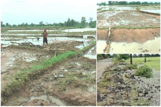Telangana rains 2023