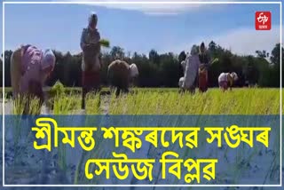 Srimanta Sankardev Sanghas Green Revolution