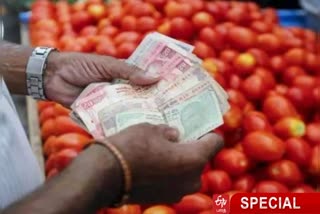 tomato price did not drop