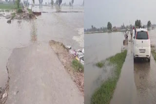 Flood victims in Ferozepur accused the government of not helping