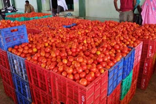 Tomato Price