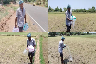 TN TNJ PADDY AFFECT