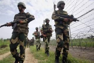 army-destroys-landmine-in-loc-in-poonch