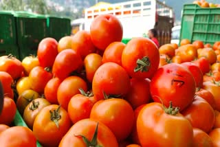 Tomato prices approaching the double century in AP