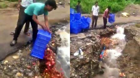 apples dumped in water