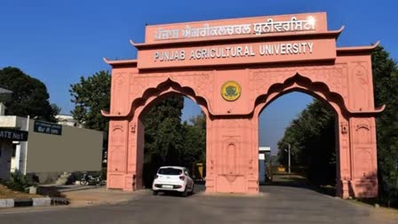 Punjab Agricultural University