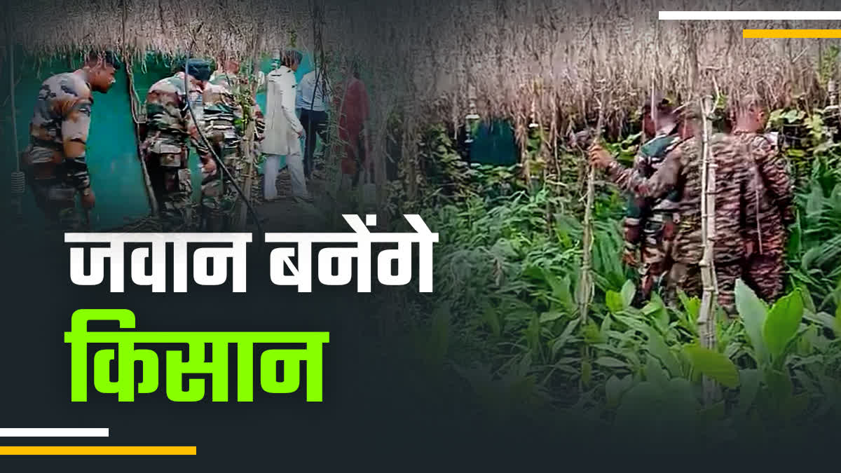 MAHAR ARMY MAN TRAINING FARMING