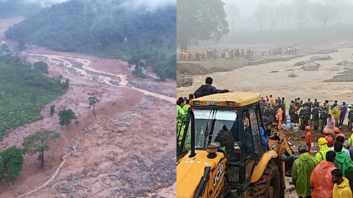 വയനാട് ഉരുൾപൊട്ടൽ  WAYANAD LANDSLIDE RESUE OPERATION  LATEST NEWS MALAYALAM  വയനാട് ഉരുൾപൊട്ടൽ രക്ഷാപ്രവർത്തനം