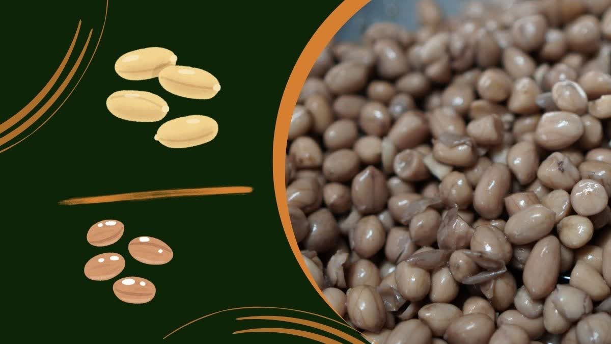 Groundnut for Health News