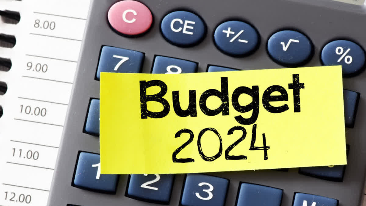 Budget 2024