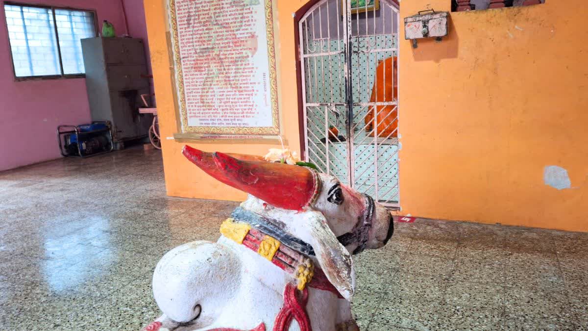 Nandi Bull Statue In Hanuman Temple