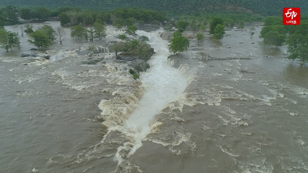 ஒகேனக்கல் அருவி