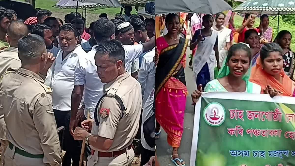 Protest against hotels in Kaziranga