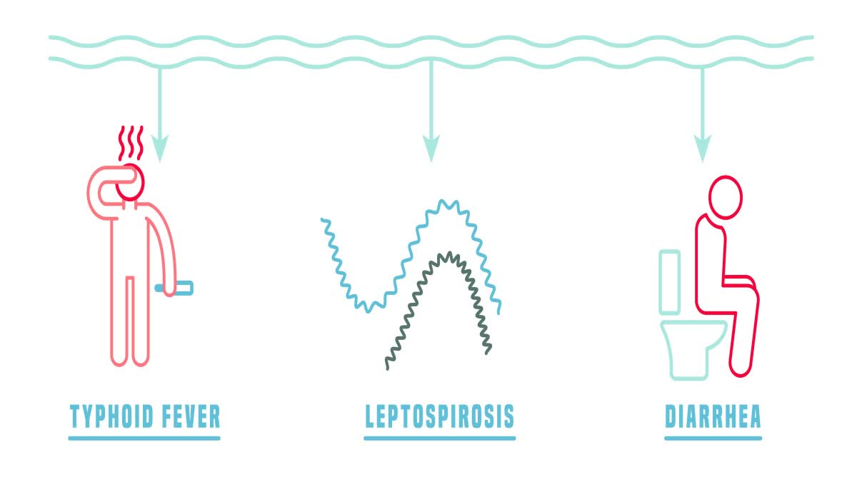 Waterborne Diseases