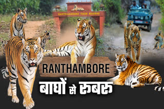 Tiger Safari in Ranthambore