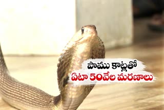 Snake Bite Treatment in Telugu