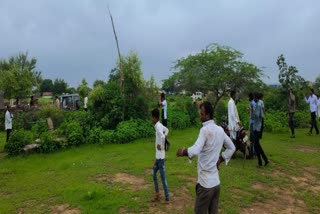 leopard enter residential area