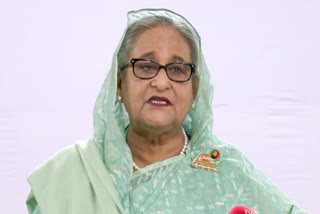 Bangladesh Prime Minister Sheikh Hasina  sought cooperation from the United Nations and other international organisations to conduct a proper investigation into the recent nationwide violence.