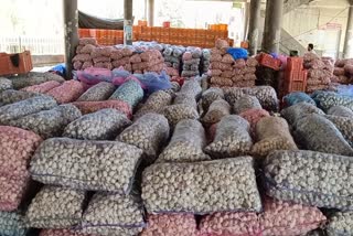 Garlic Production in Himachal