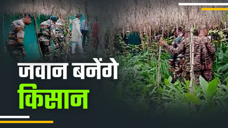 MAHAR ARMY MAN TRAINING FARMING