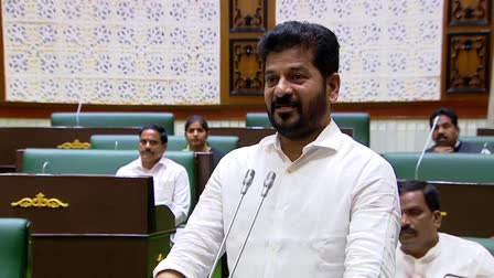 CM Revanth Reddy At Assembly