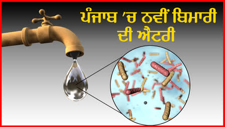 WATER BORNE DISEASE IN PUNJAB