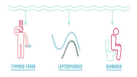 Waterborne Diseases