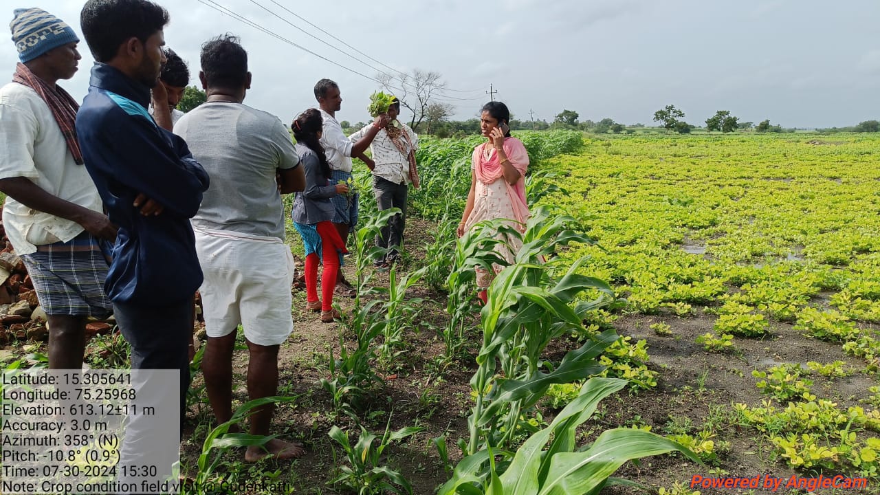 continuous rain  Farmers suffering  Kundagola region Farmers  Dharwad