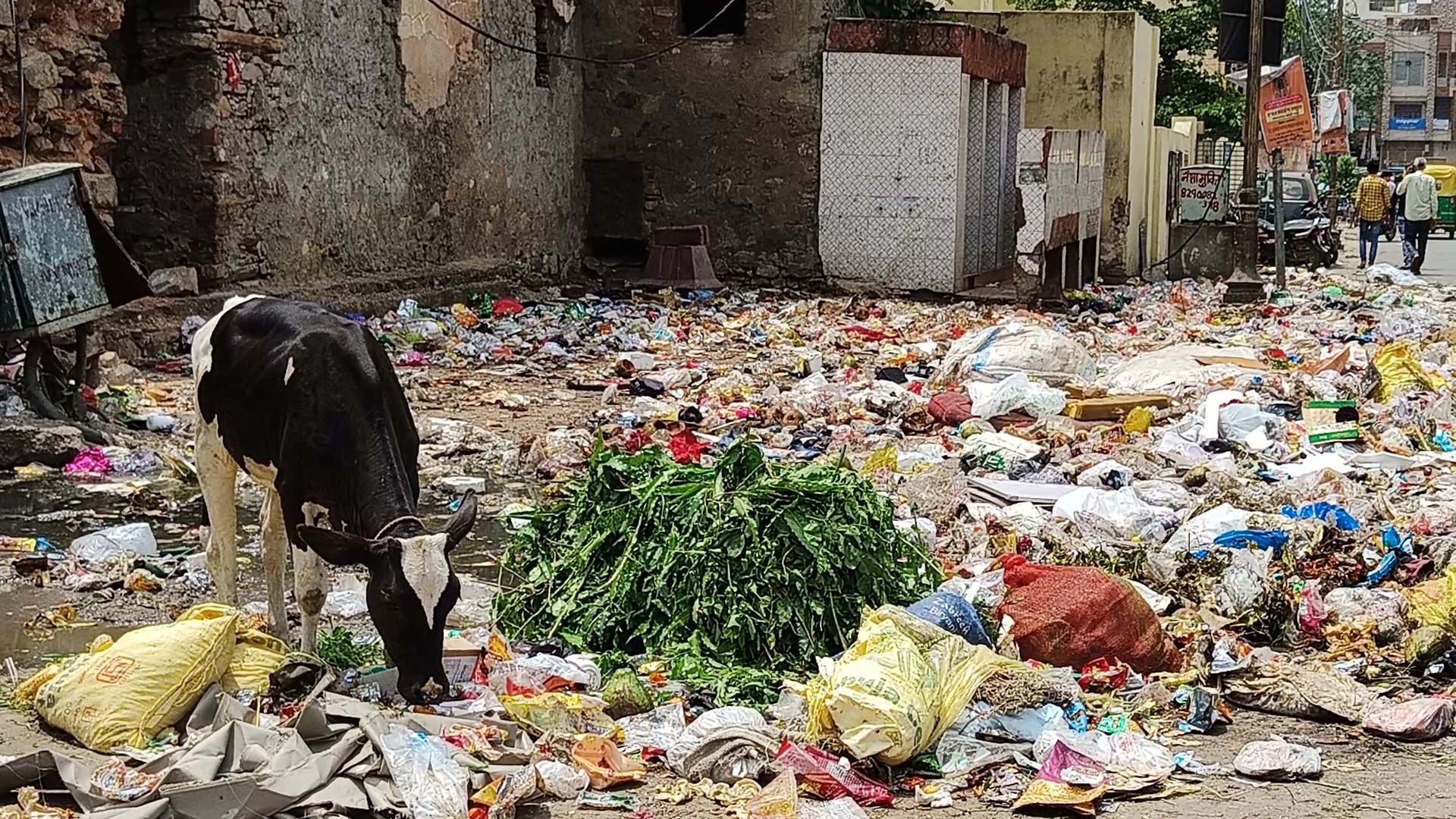 सफाई कर्मचारियों की हड़ताल