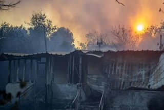 Climate Deaths