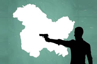 کشمیر میں رواں برس اب تک 53 شہری، 15 فورسز اہلکار اور 33 عسکریت پسند ہلاک