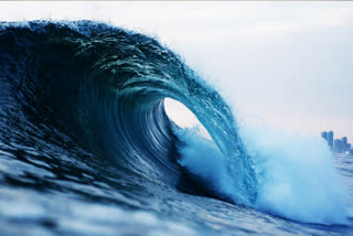 How dangerous can be a tsunami ? Know which countries have been warned after the earthquake in Japan?