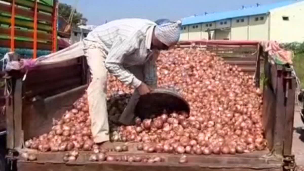 Nashik Onion Subsidy