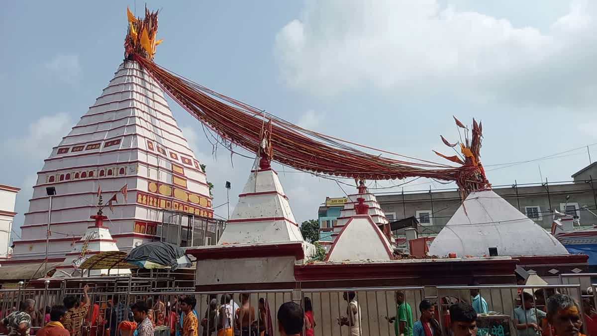 crowd-shiva-devotees-in-basukinath-temple-occasion-of-sawan-purnima-and-raksha-bandhan