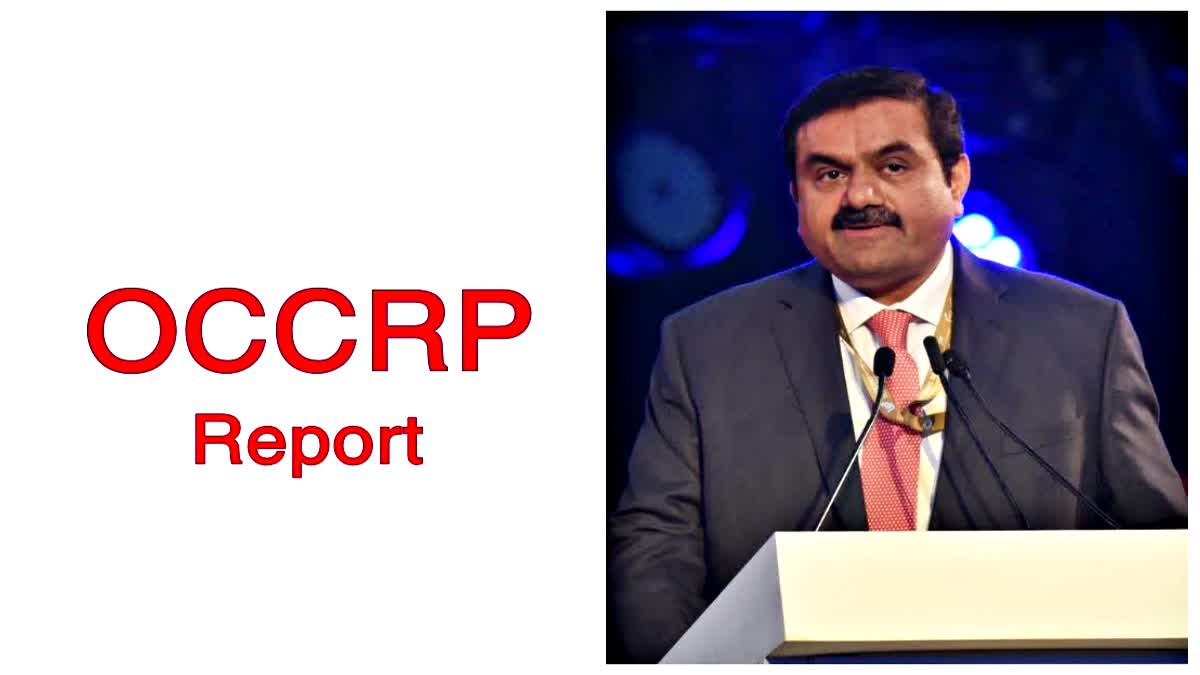 after OCCRP allegations Adani Group shares fall in stock market