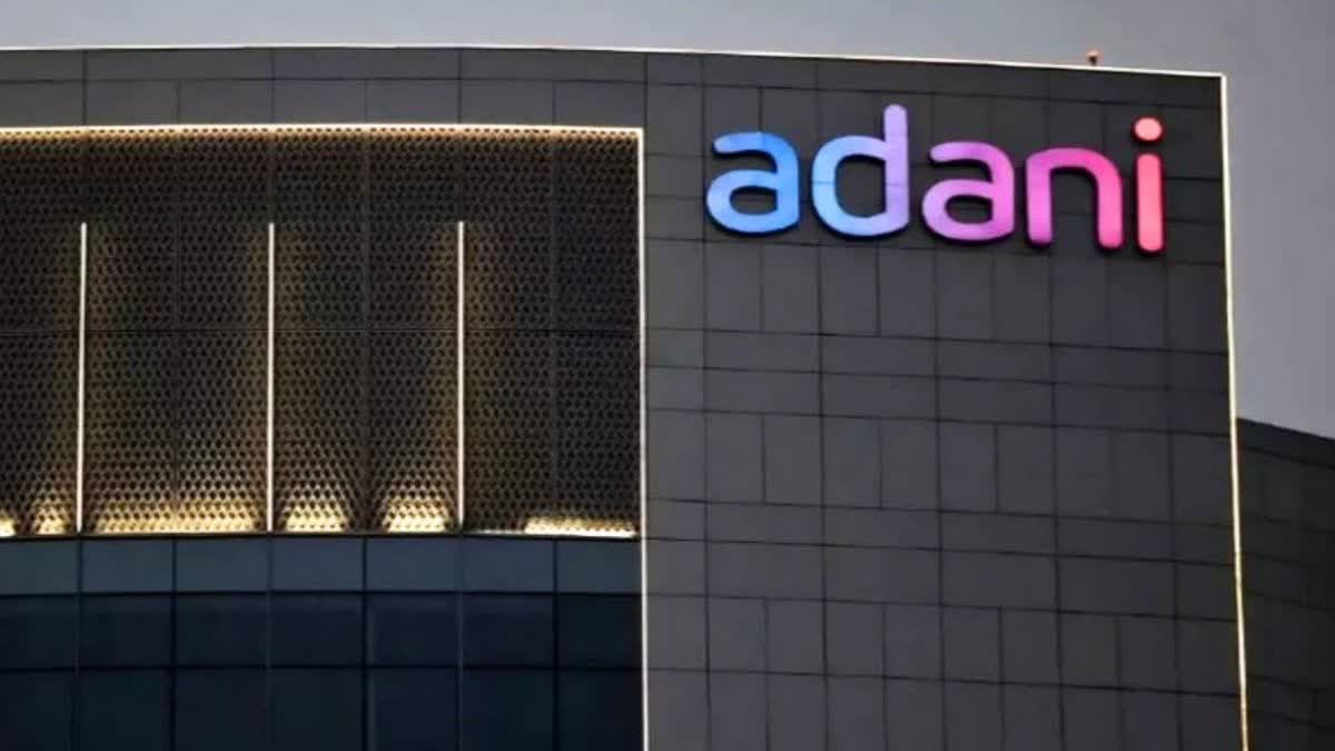 Occrp Report On Adani