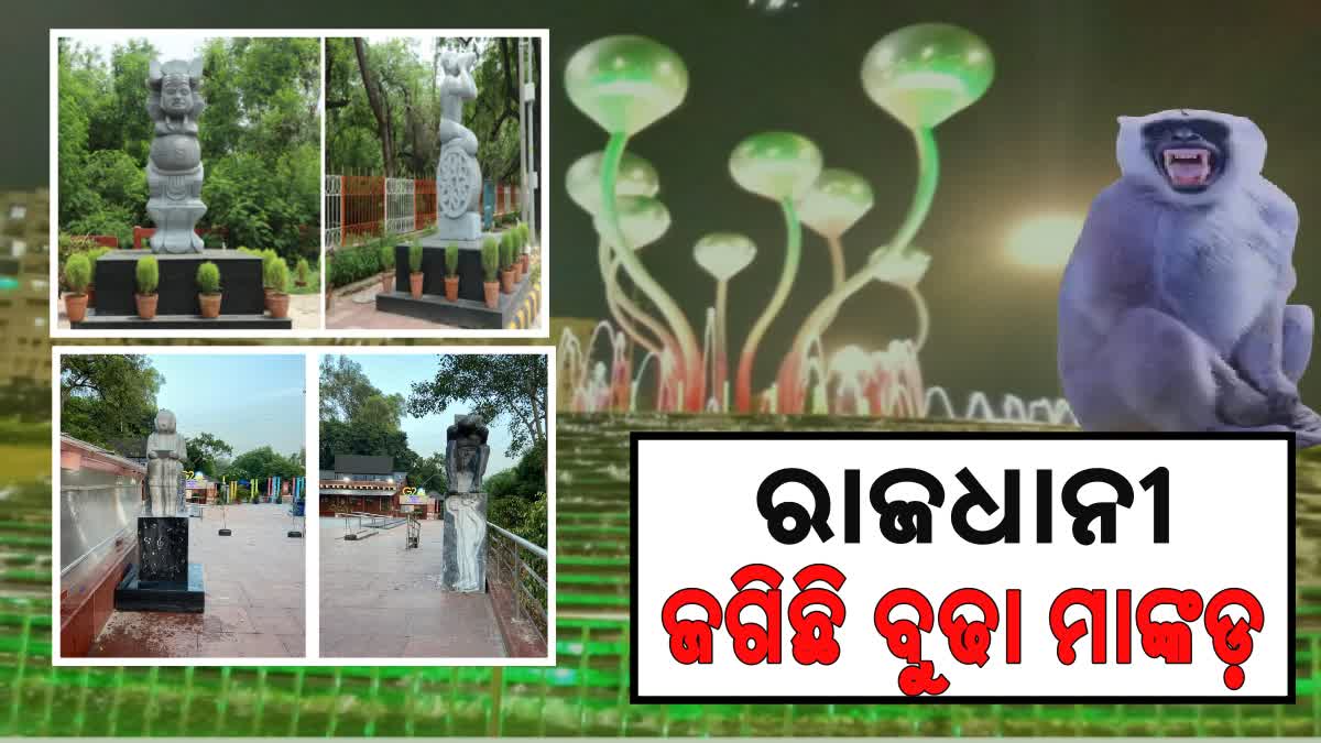 ଦିଲ୍ଲୀରେ ଲାଗିଲା ମାଙ୍କଡ କଟଆଉଟ୍