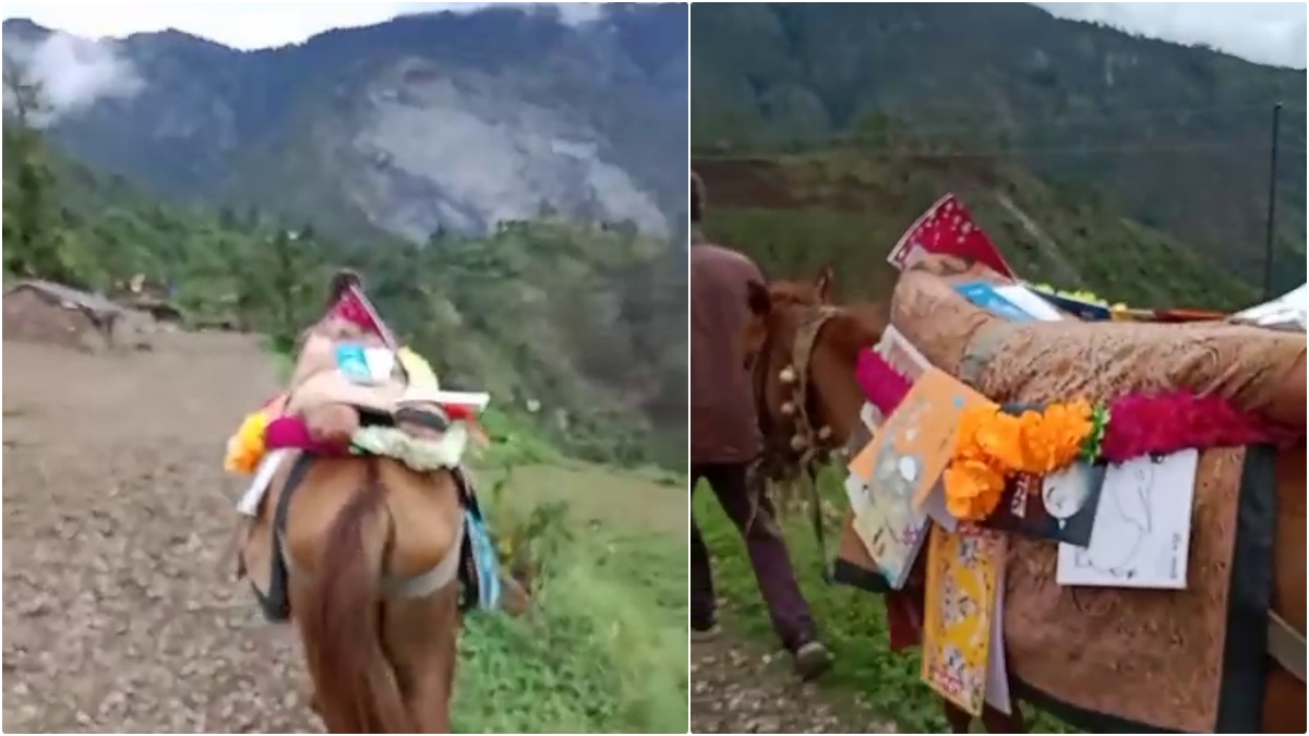 Horse Library in Uttarakhand