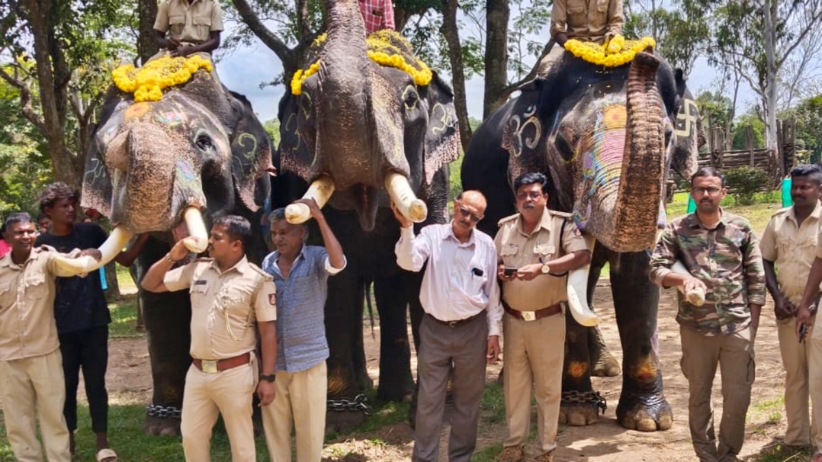 ದುಬಾರೆ ಹಾಗೂ ಹಾರಂಗಿ ಶಿಬಿರಗಳ ಆನೆಗಳು