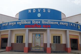 Jabalpur Veterinary University