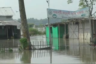Flood badly affected Gorukhuti project