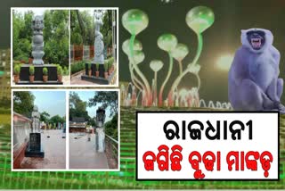 ଦିଲ୍ଲୀରେ ଲାଗିଲା ମାଙ୍କଡ କଟଆଉଟ୍