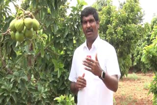 Avocado crop Farmer Jaipal Naik Interview